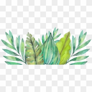 Leaf Amazon Rainforest Watercolor Painting Arecaceae - Motivational Quote Clipart