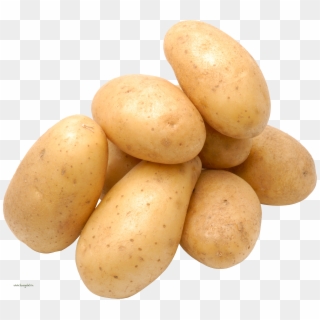 Potato Png Images - Ap Calc Potato Meme Clipart