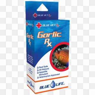 Blue Life Usa Garlic Rx - Stony Coral Clipart