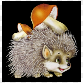 Complete Animal Free Png Collection, Free Pngs Has - Autumn Hedgehog Clipart Transparent Png