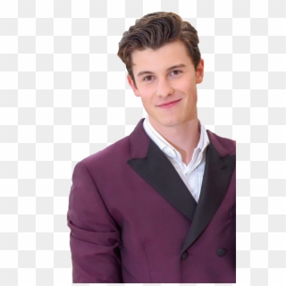Shawn Mendes Fanblog - Shawn Mendes Met Gala Photoshoot Clipart