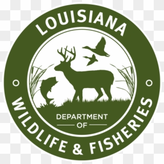 First Saturday Family Program - Louisiana Department Of Wildlife And Fisheries Clipart