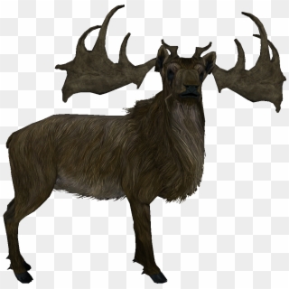 Elk - Skyrim Deer Png Clipart