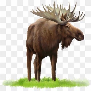 Download Elk Png Images Background - Stock Photography Clipart