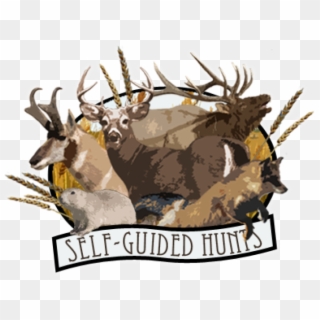 Deer And Hunting Logo Png Clipart