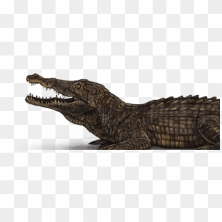 American Crocodile Clipart