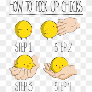 0 Replies 1 Retweet 2 Likes - Pick Up A Chick Clipart