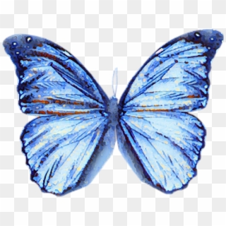 Butterfly Blue Watercolour Blur Effect - Butterfly Wings Clipart