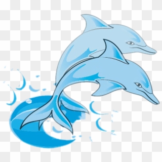 Bottlenose Dolphin Clip Art - Dodson Middle School - Png Download