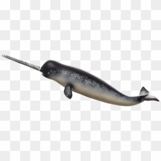 Whale Papo Clipart