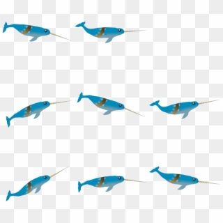 Narwhal Png Clipart