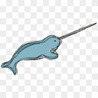 Narwhal , Png Download - Transparent Background Narwhal Clipart