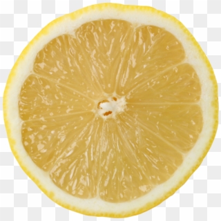 Lemon Slice - Orange Clipart