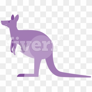 Kangaroo , Png Download - Kangaroo Clipart