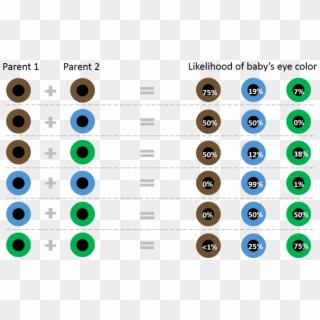 Free Png Download Colored Eyes Chart Png Images Background - Eye Colour Genes Clipart