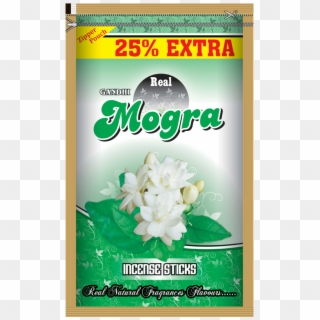 Mogra - Superenalotto Clipart