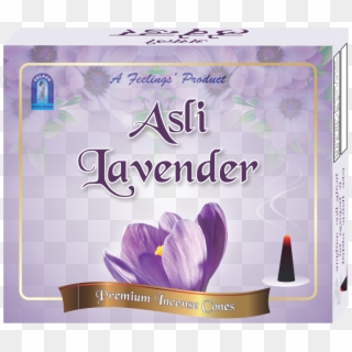 Related Products - Asli Lavender Cones Dhoop Clipart