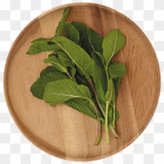 1 Bunch - Spinach Clipart