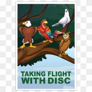 Take Flight Learning Offers A Variety Of Disc-based - Illustration Clipart