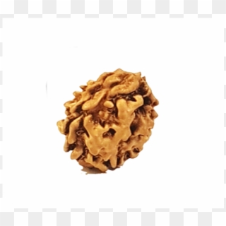 The Ruling Deity Of This Rudraksha Is Lord Ardha Nareeshwar - Lasagnette Clipart