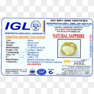 Click Here To View Certificate On Igl Website - Igl 21 Mukhi Rudraksha With Certificate Clipart
