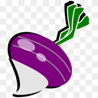 The Gigantic Turnip Vegetable Radish Computer Icons - Clipart Of Turnip - Png Download
