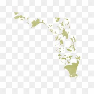 Florida Map Displaying Current Conservation Areas - Atlas Clipart