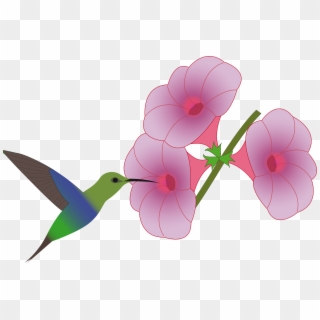This Free Icons Png Design Of Pretty Hummingbird Clipart