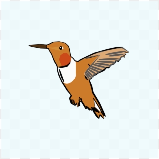 Big Image - Ruby-throated Hummingbird Clipart