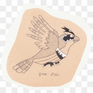 Tiny Bird Pokemon - Illustration Clipart