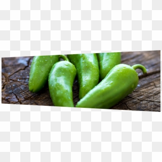 Image Of 5 Green Jalapeno Peppers - الفلفل الاخضر Clipart