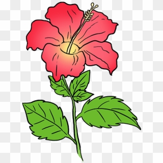 680 X 678 3 - Easy Hibiscus Flower Drawing Clipart