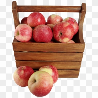 Download Apples In A Basket Png Image - Apple Basket Png Clipart
