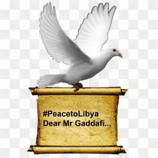 Dove Carrying Scroll - Dove Of Peace Clipart