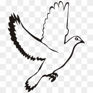 White Flying Dove Clipart - Dove Images Black And White Png Transparent Png