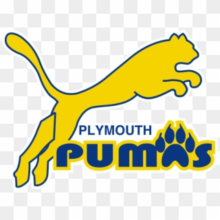 Puma Logo Clipart Pum - Plymouth Scholars Puma - Png Download