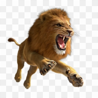 African Lion Png Image - Transparent Lion Png Hd Clipart