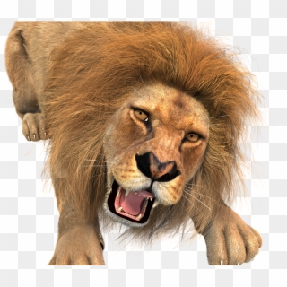 Animal, Lion, Male, King Of The Beasts, Big Cat, Wild - Transparent Background Lion Roaring Clipart