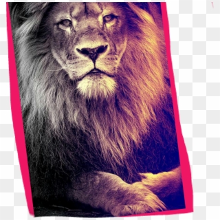 Lion Roar Hearmeroar Clipart