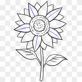 Vector Freeuse How To Draw A Sunflower Easy Step - Sunflower Drawing Black And White Easy Clipart
