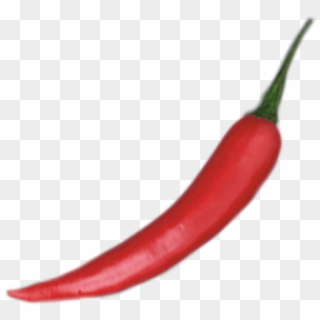 Chili Pepper - Thai Chili Png Clipart