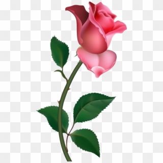 Single Rose Png Pic - Rose Png Clipart