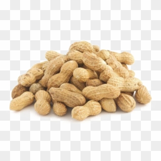 Peanut In Shell Clipart