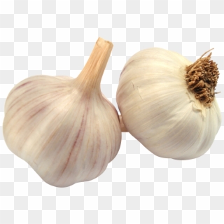 Garlic - Garlic Png Clipart