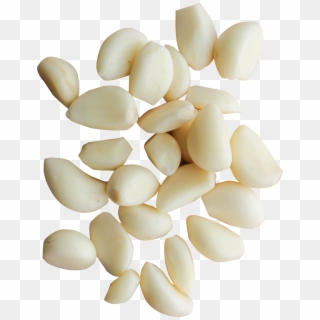 Garlic Png Clipart