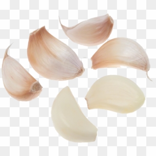 Garlic Minced Png Clipart
