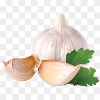 Garlic Png Transparent Images - Garlic Png Clipart