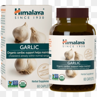 Organic Garlic - Himalaya Garcinia Clipart