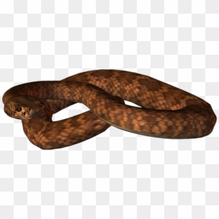 Snake - Brown Snake Png Clipart