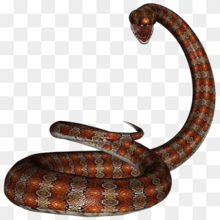Snake, Rat Snake, Reptile, Red, Herpetology, Serpent - Serpientes En Png Clipart